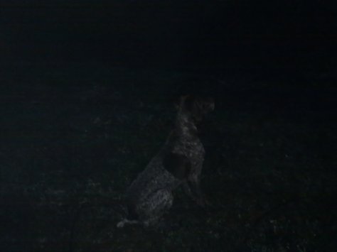 AÚN DE NOCHE Y YA LOS ESPERA! TSS, TSS